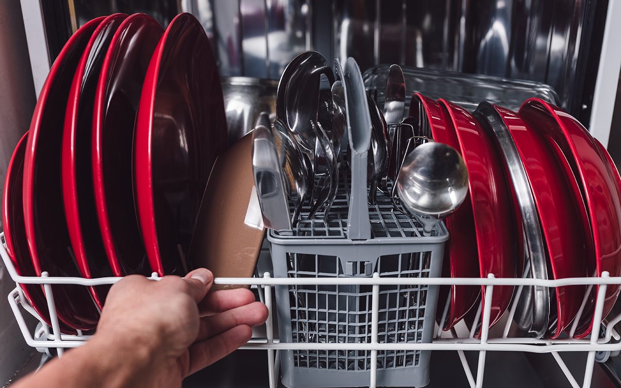 does dishwasher kill bacteria