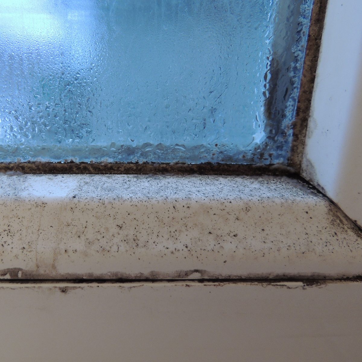 Mold on plastic window frame