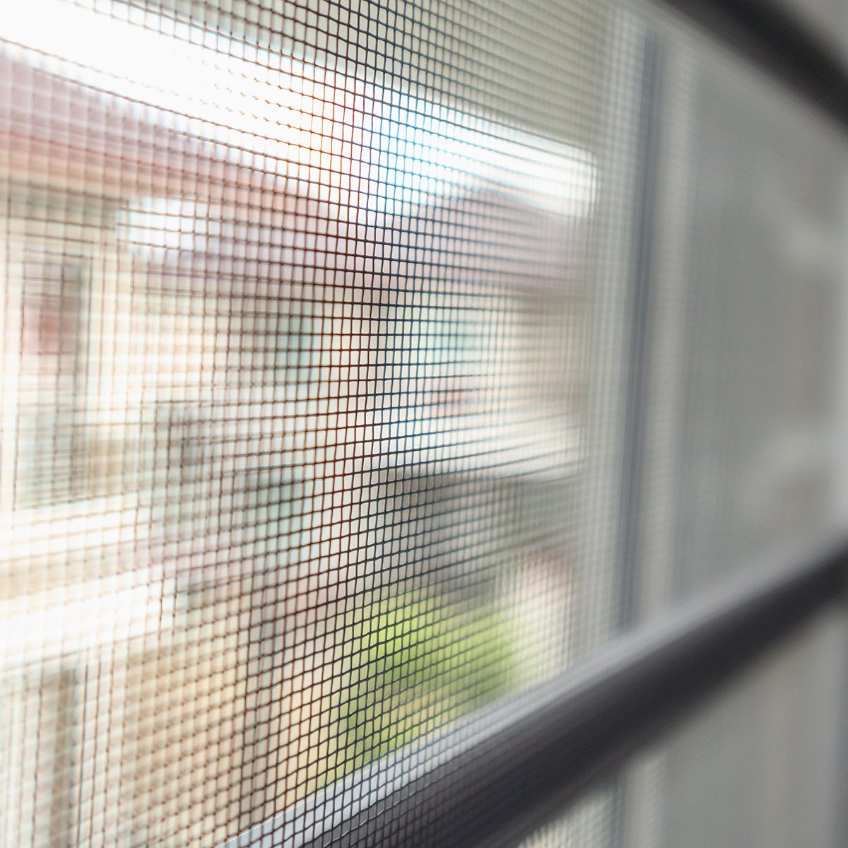 mosquito net wire screen on house window protection against insect