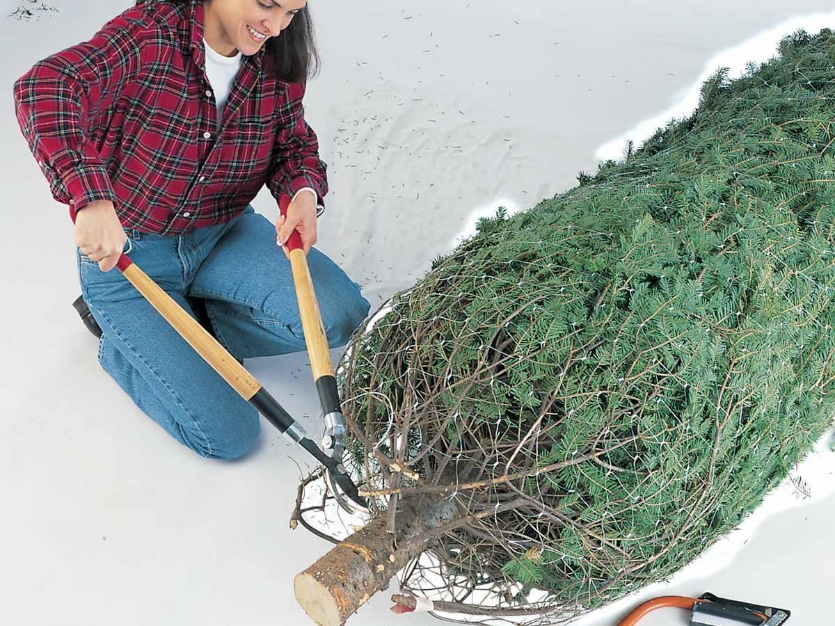 How to Keep Christmas Tree Alive Throughout the Holiday Season