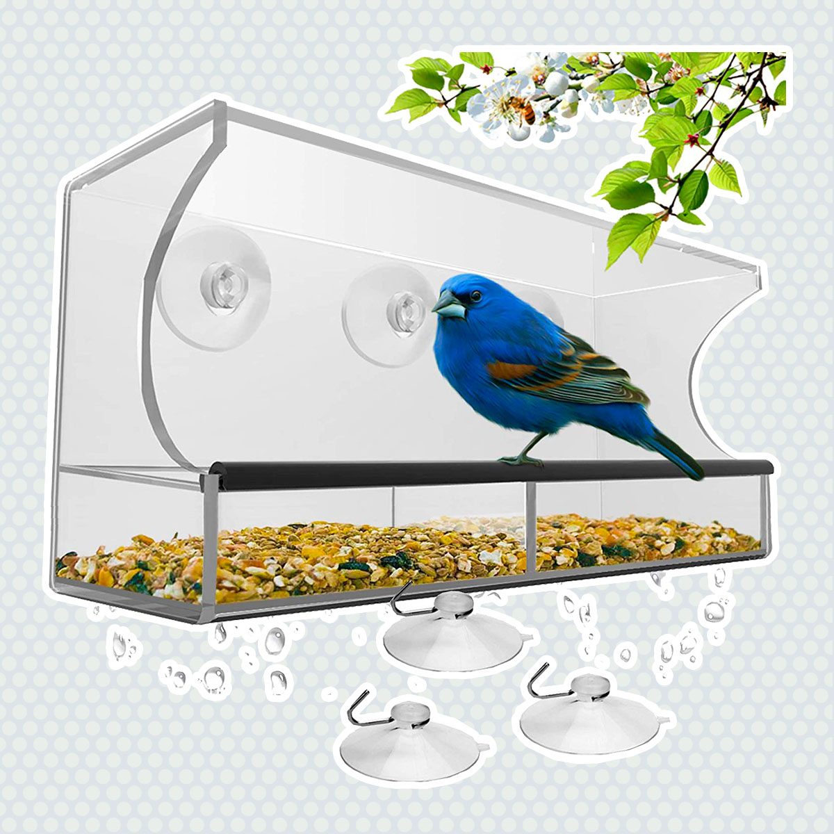 Nature's Hangout Suction Bird Feeder