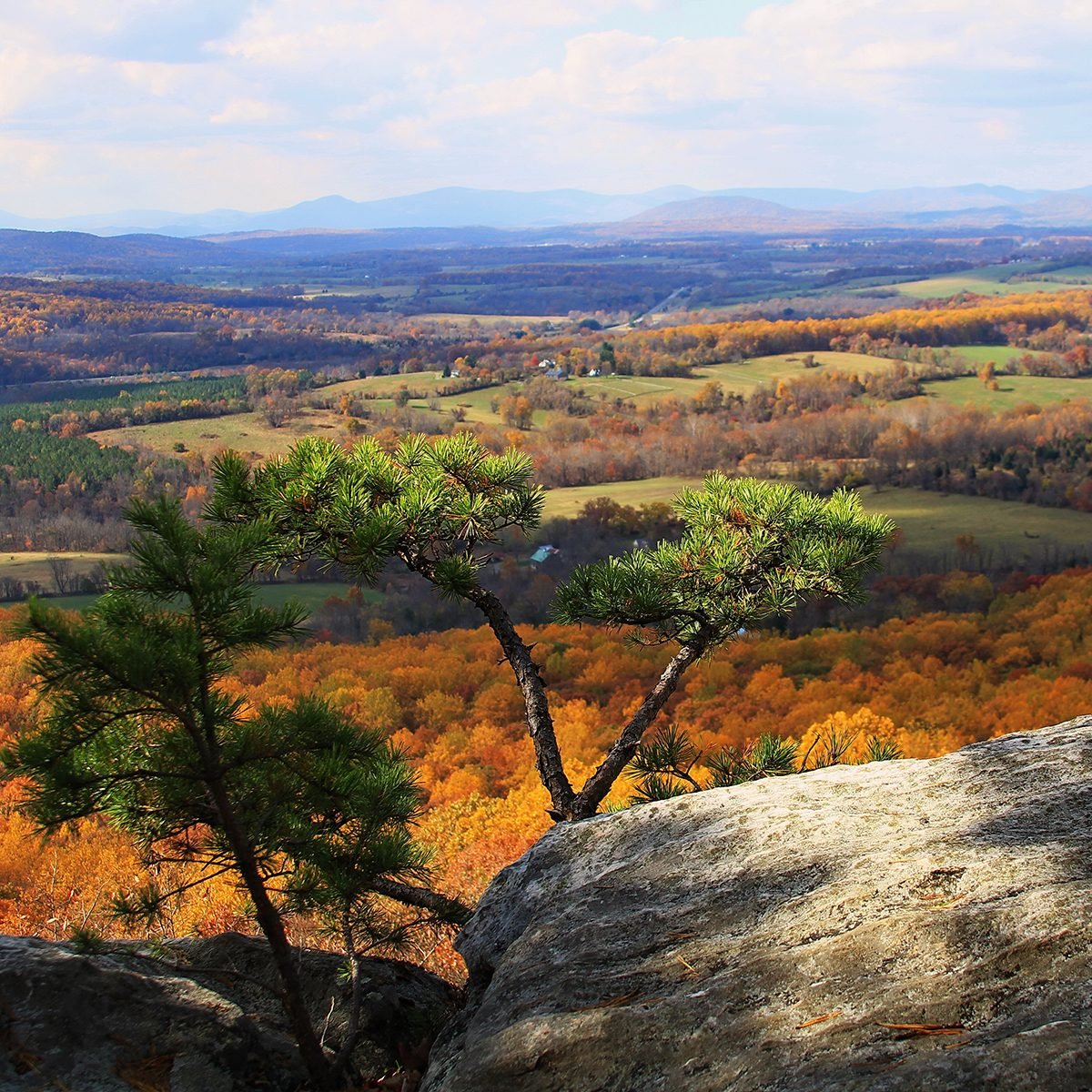 Fall Foliage, Bull Run Mountains, Loudon Valley, Fauquier County, Virginia