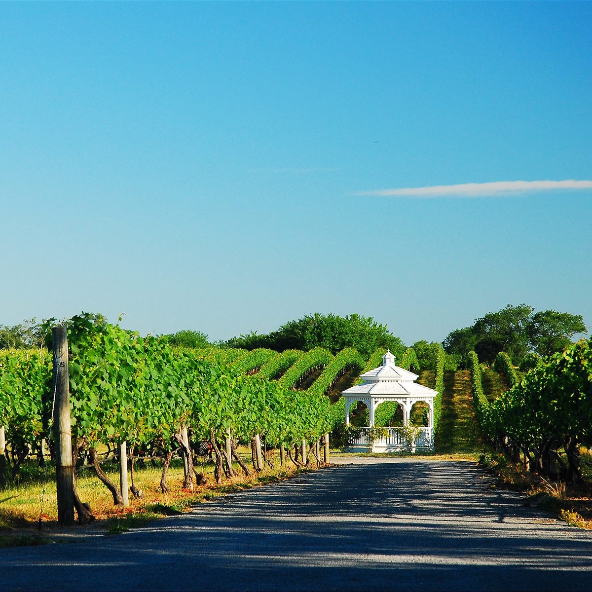 A gazebo is tucked into a vineyard in Cutchogue, New York, one of the many vineyards on the North Fork of Long Island