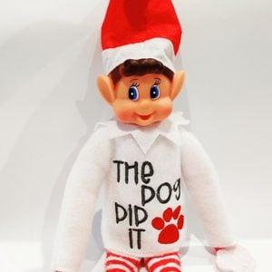 The Dog Did It Elf Shirt Doll Accessory