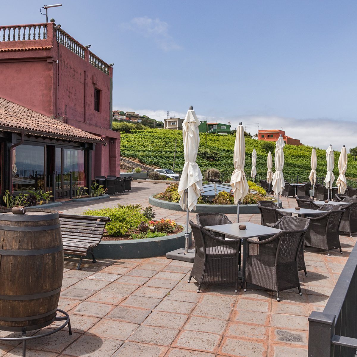 View of wine cellar and vineyards in the north of Tenerife, Canary Islands Spain. Harvest concept