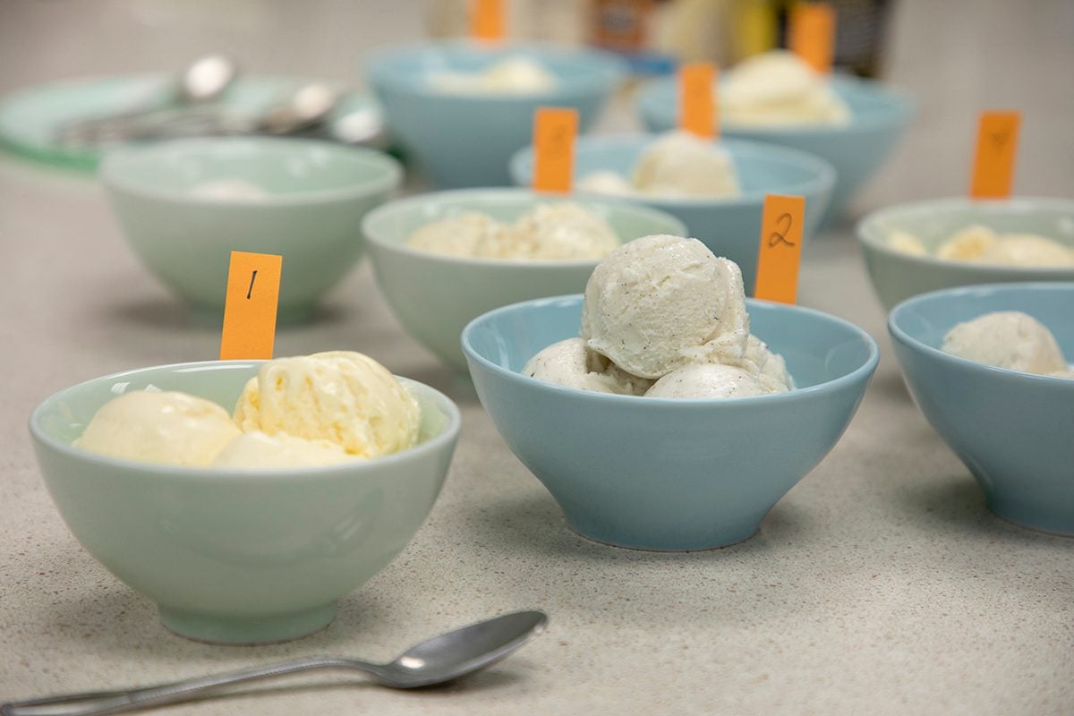 The best healthy ice cream, ranked: Halo Top, Yasso, Ben and
