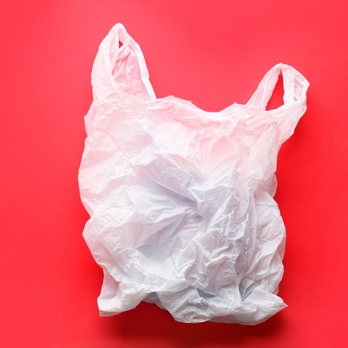 bag to store plastic bags