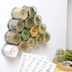 13 Genius Spice Storage Ideas for an Aesthetically Pleasing Look