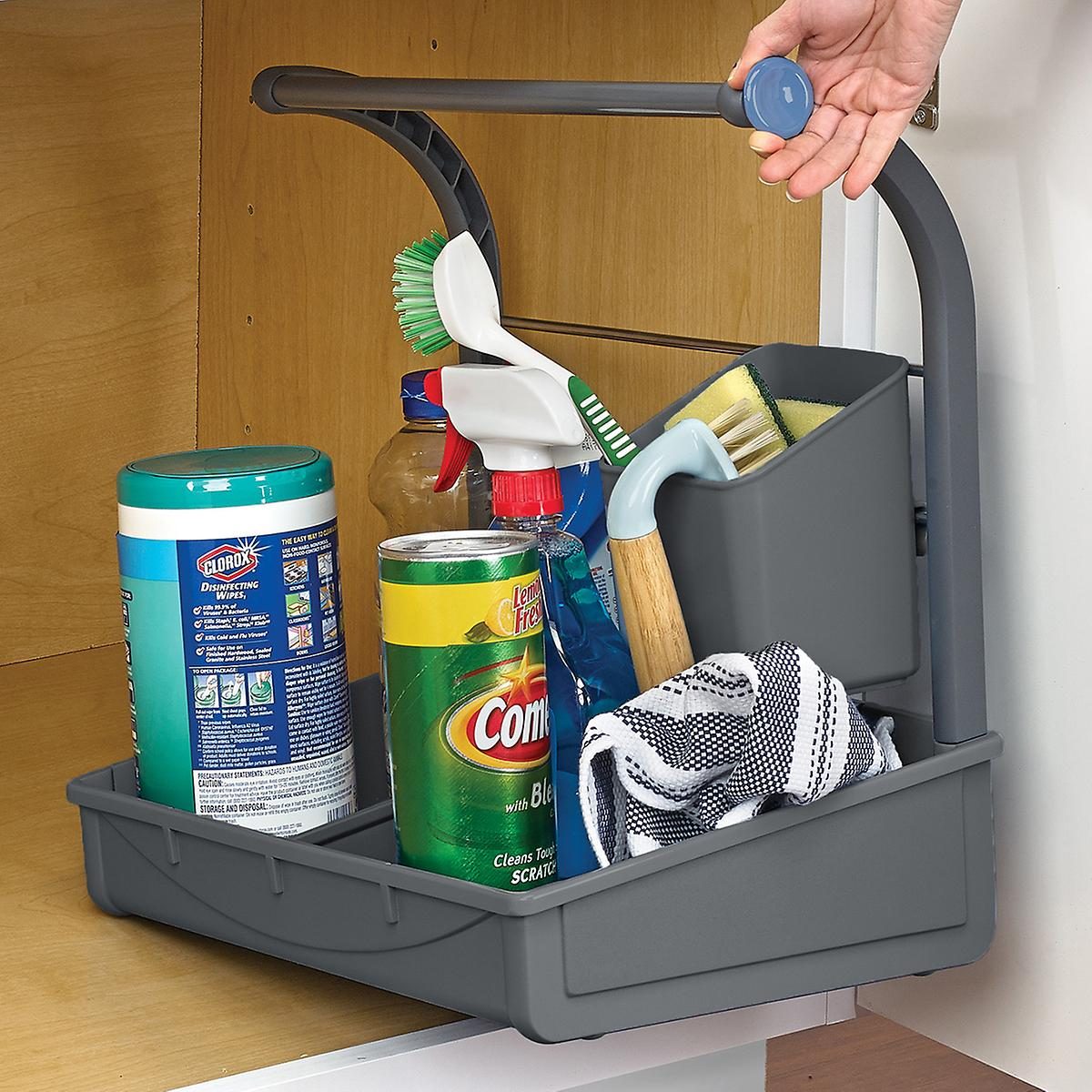 https://www.tasteofhome.com/wp-content/uploads/2020/03/Polder-Under-The-Sink-Storage-Caddy-ecomm-via-containerstore.com_.jpg?fit=700%2C700