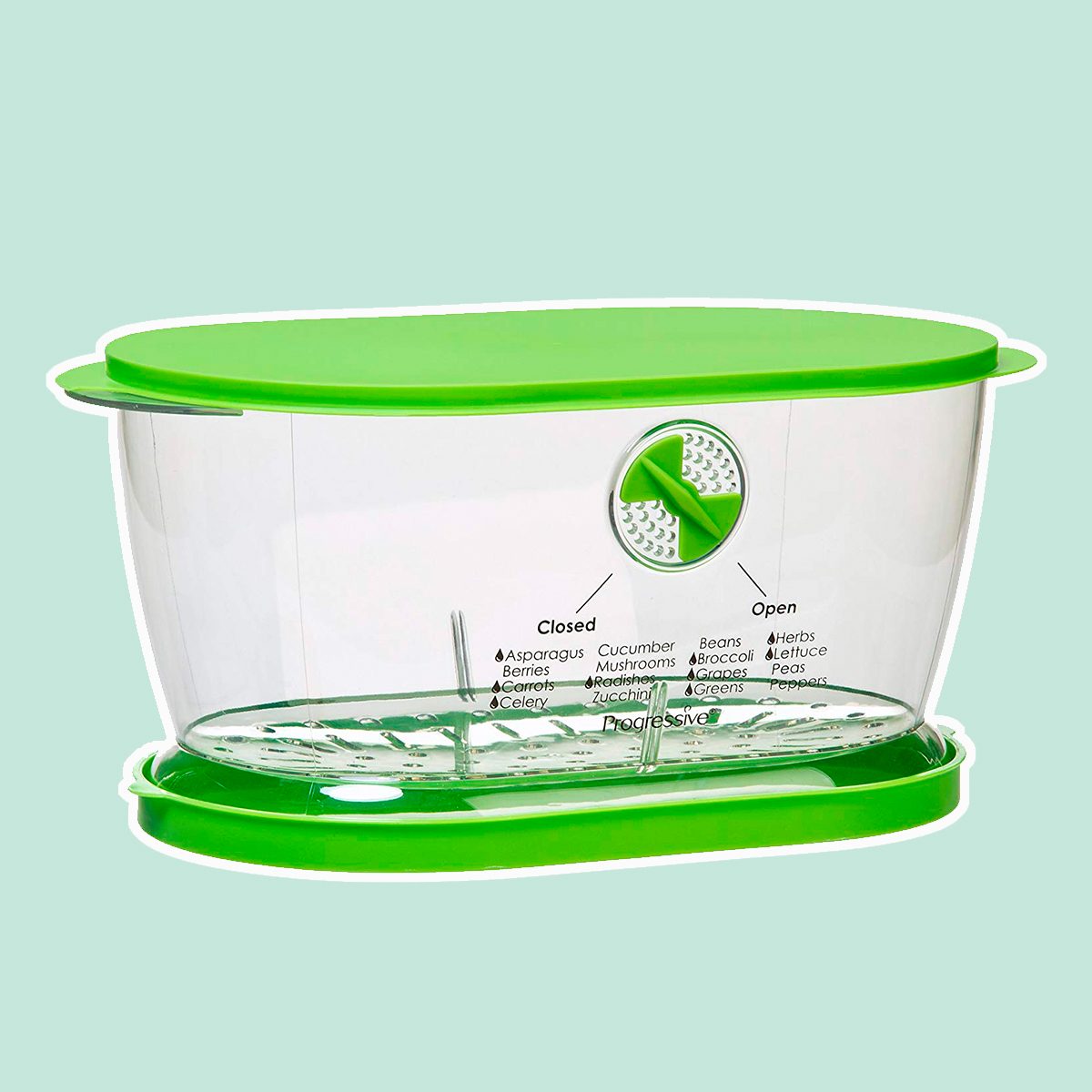 Progressive Collapsible Salad Bowl With Lid