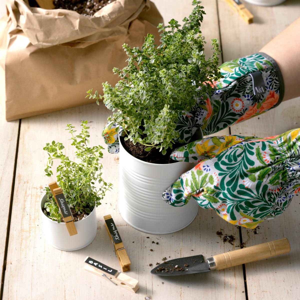 hands adding sprout to white can with gardening tools 