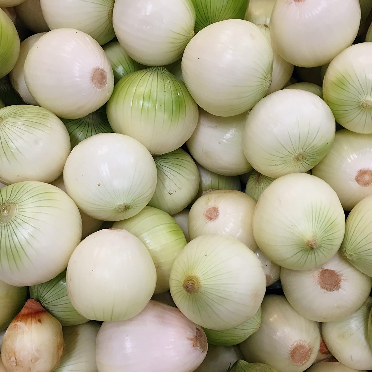 Full Frame Shot Of Onions For Sale In Market