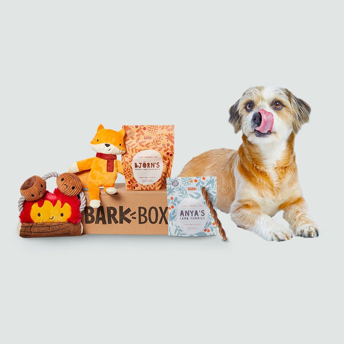 BarkBox Gift Box