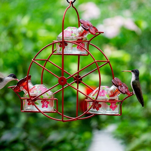 Ferris Wheel Humming Bird Feeder 