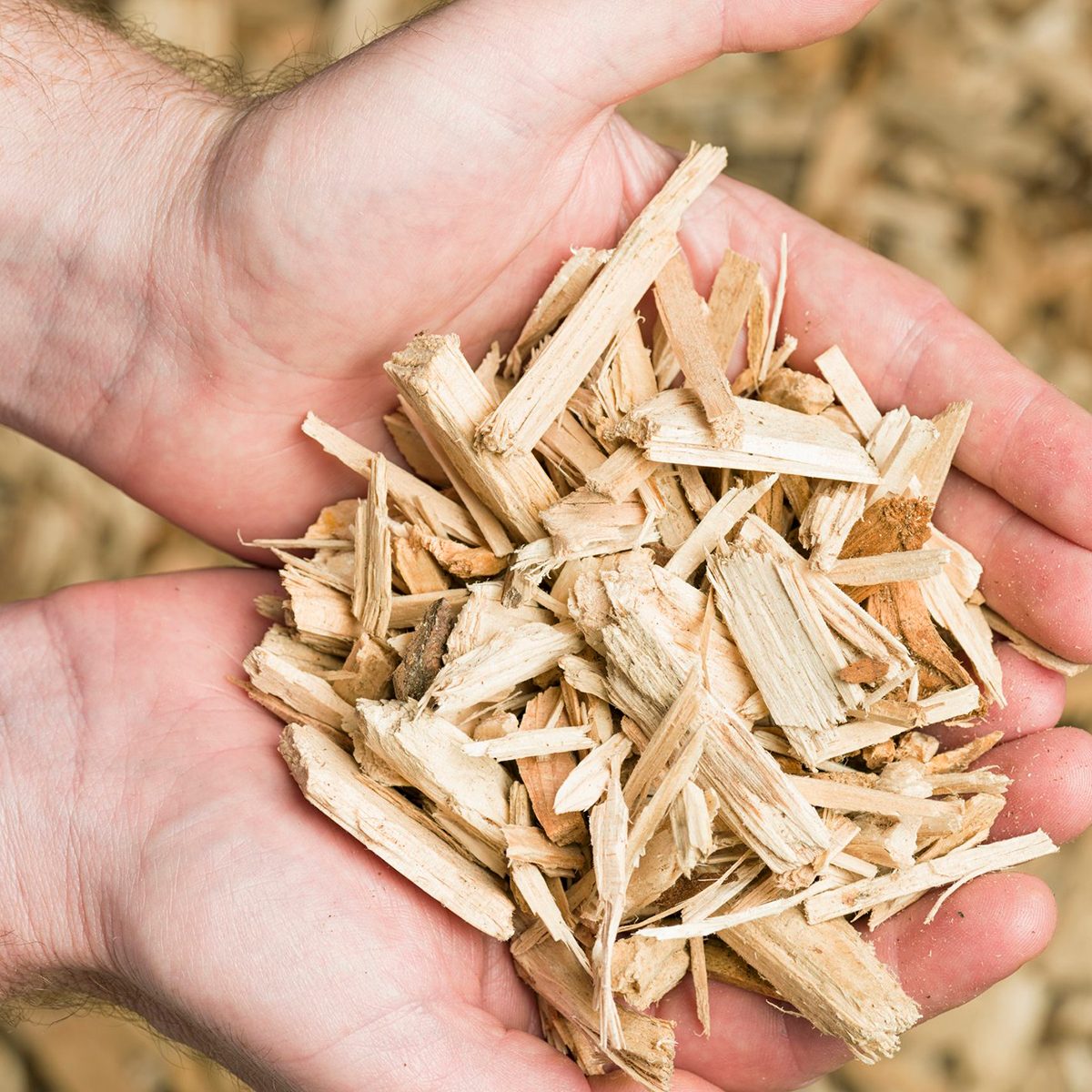 Wood chips