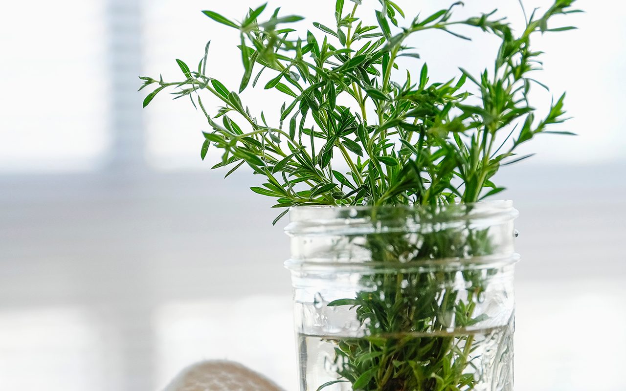 how-long-do-fresh-herbs-last-in-the-fridge-taste-of-home