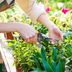 13 Ways to Take Your Garden From Good to Great