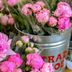 Trader Joe's JUST Brought Back Their Famous Peonies—for a Limited Time