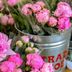 Trader Joe's JUST Brought Back Their Famous Peoniesâ€”for a Limited Time