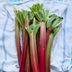 Can You Eat Rhubarb Raw? The Answer May Surprise You.