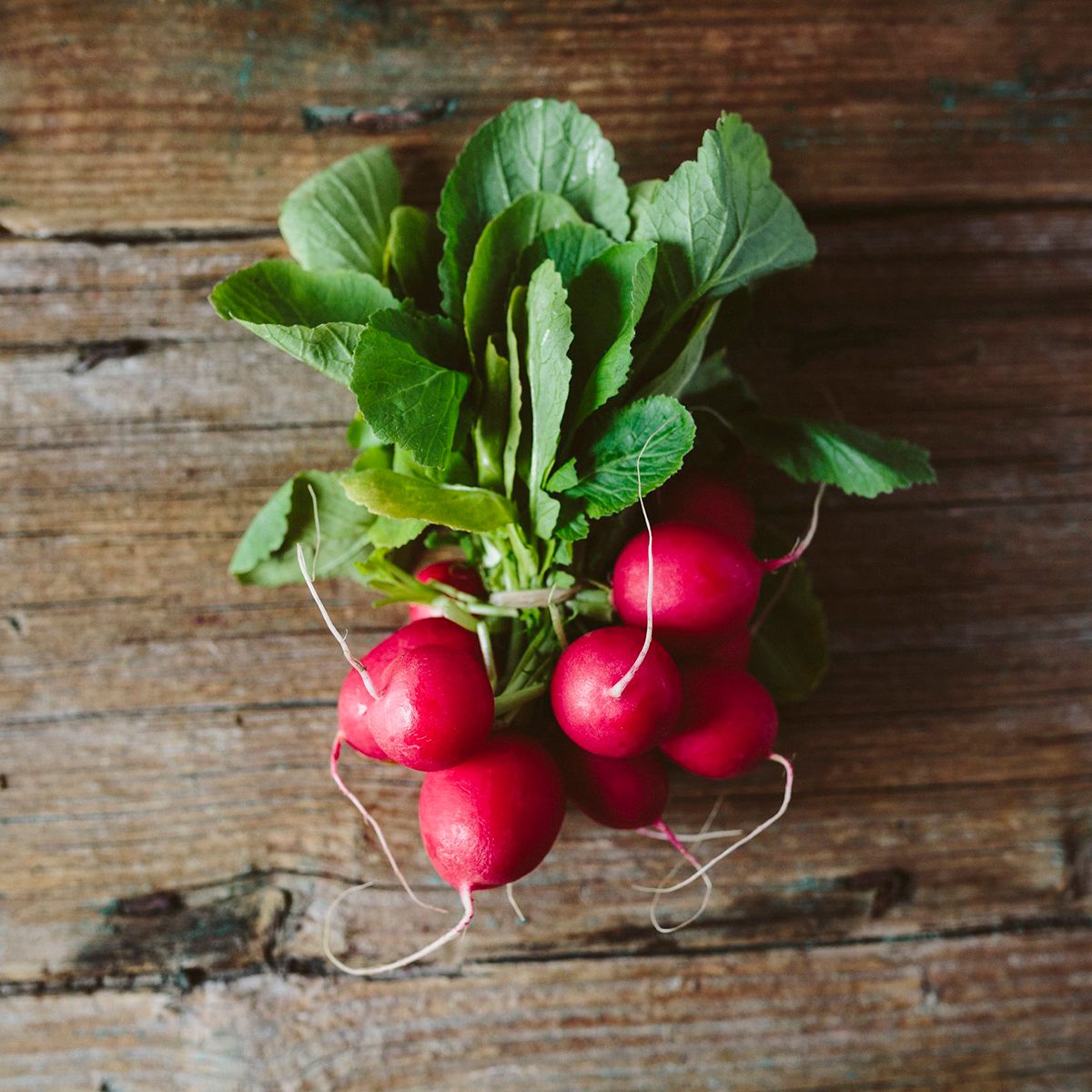 Radishes