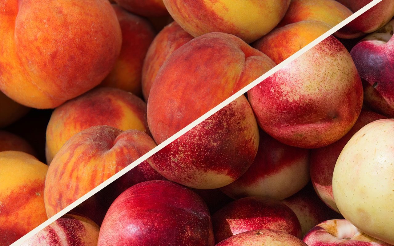 Nectarine vs Peach: What's the Difference?