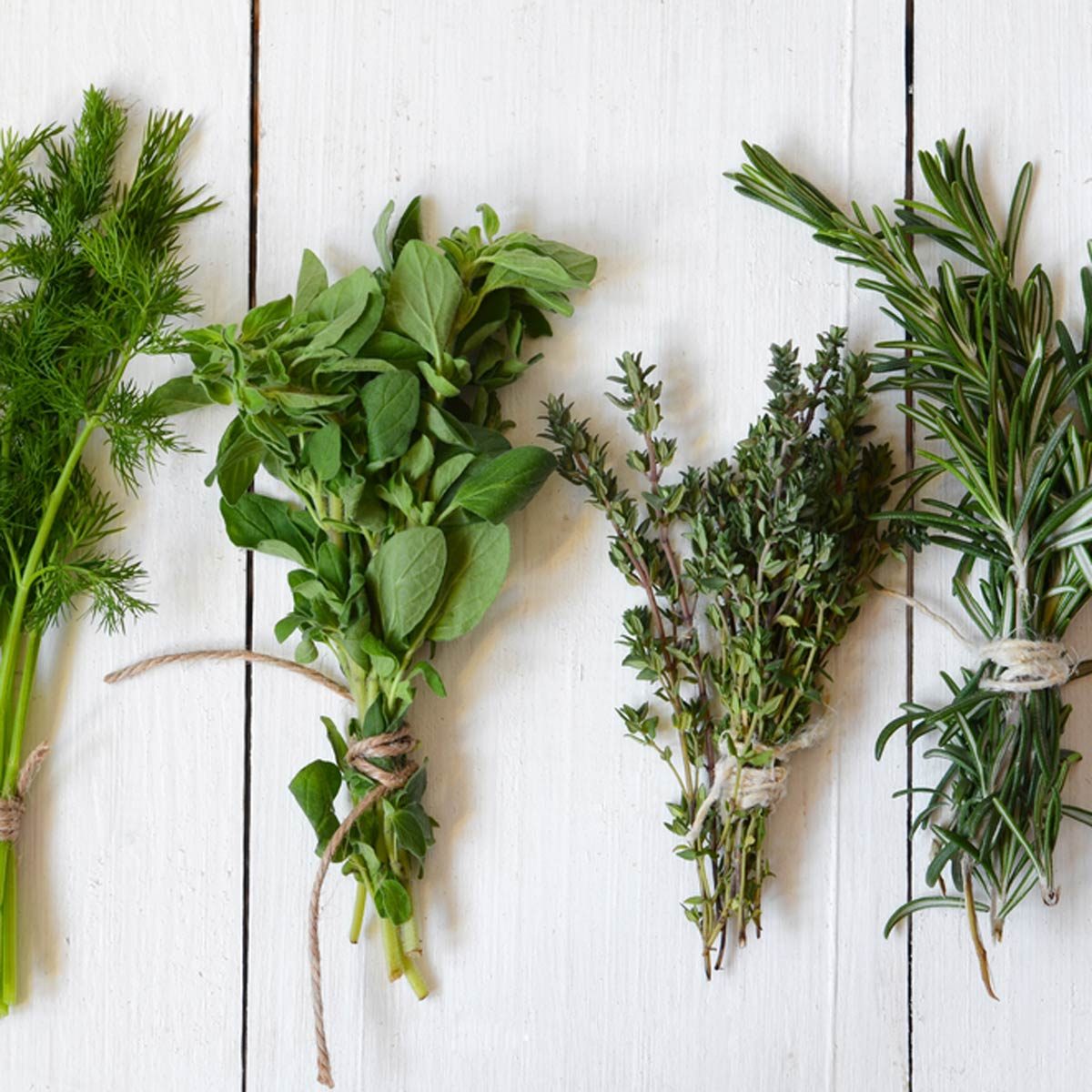 How to Dry Fresh Herbs