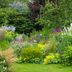7 Gardening Mistakes You Might Be Making with Your Perennial Plants