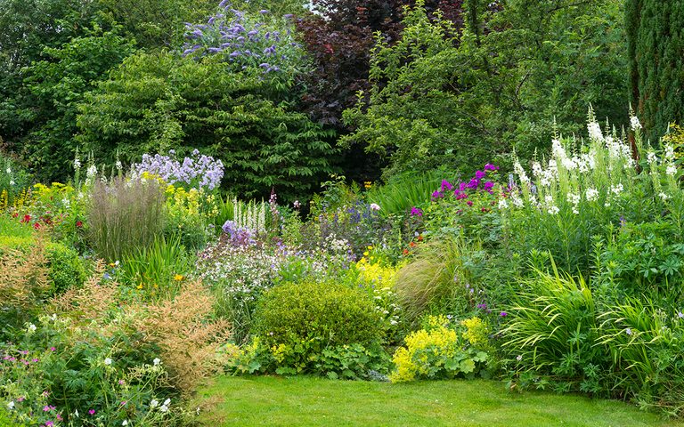 7 Perennial Garden Mistakes to Avoid (and How to Fix Them)