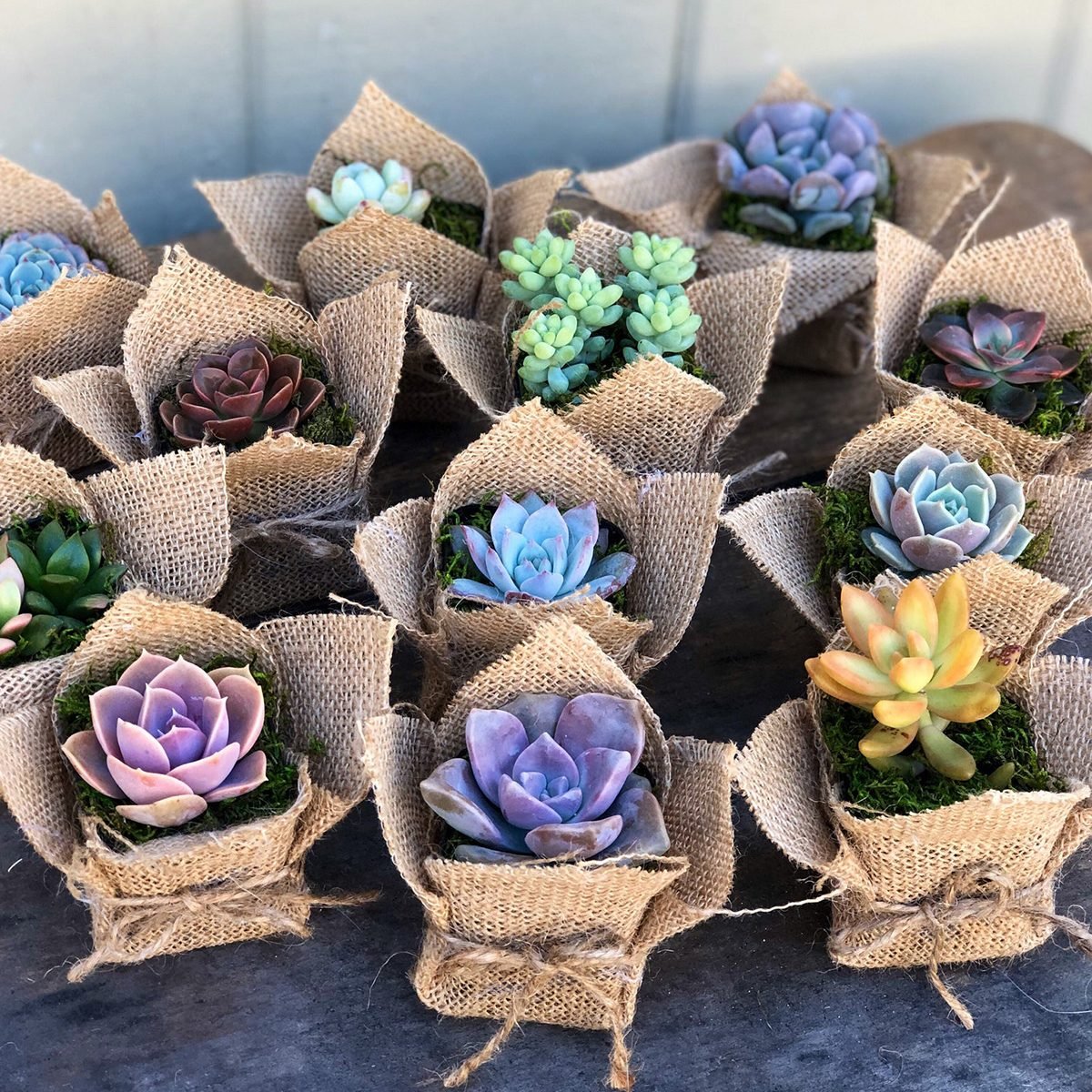 inexpensive party favors for adults