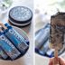 How to Make Super Easy and Super Delicious  2-Ingredient Oreo Popsicles