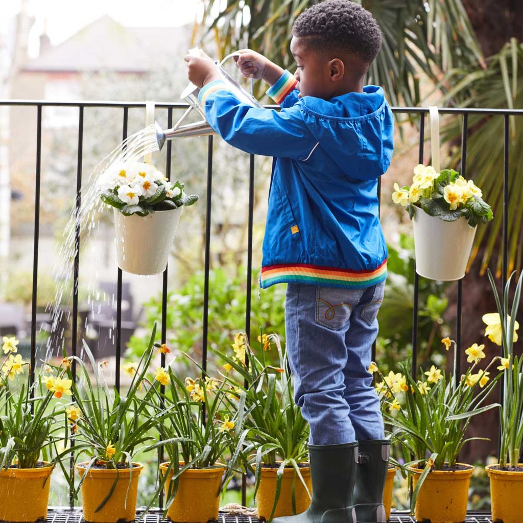 When Is the Best Time to Water Plants? | Taste of Home