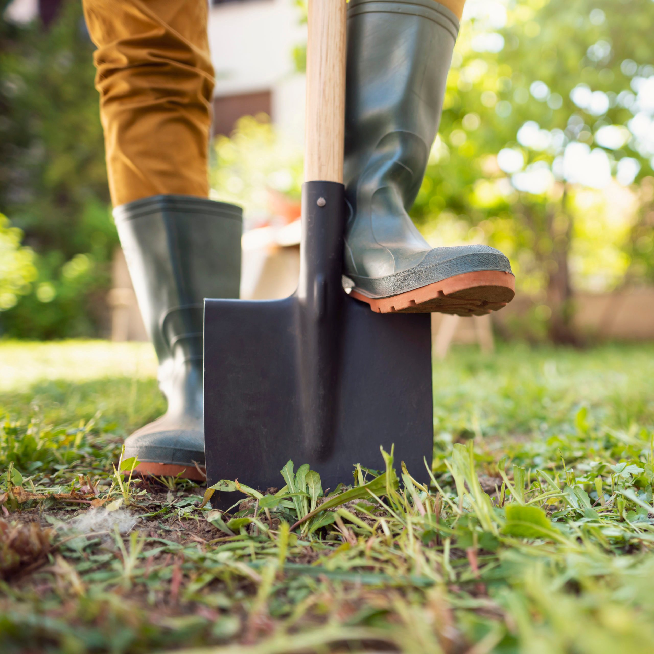Close-up shot of an unrecognizable gardener standing in his backyard with shovel pinned to the ground.