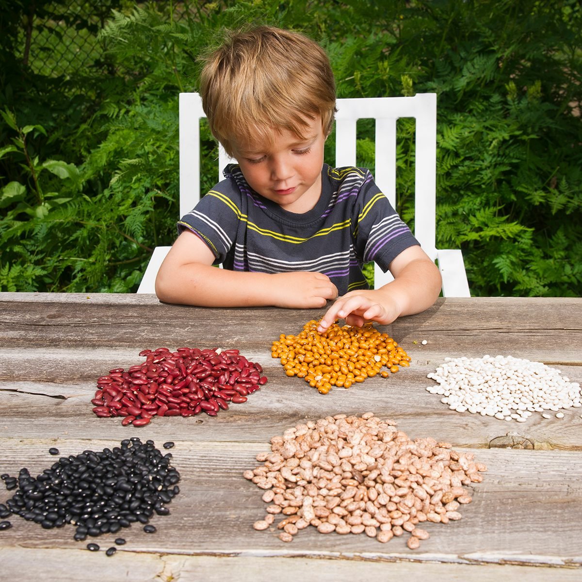 A little boy counting lots of beans.Please browse my: