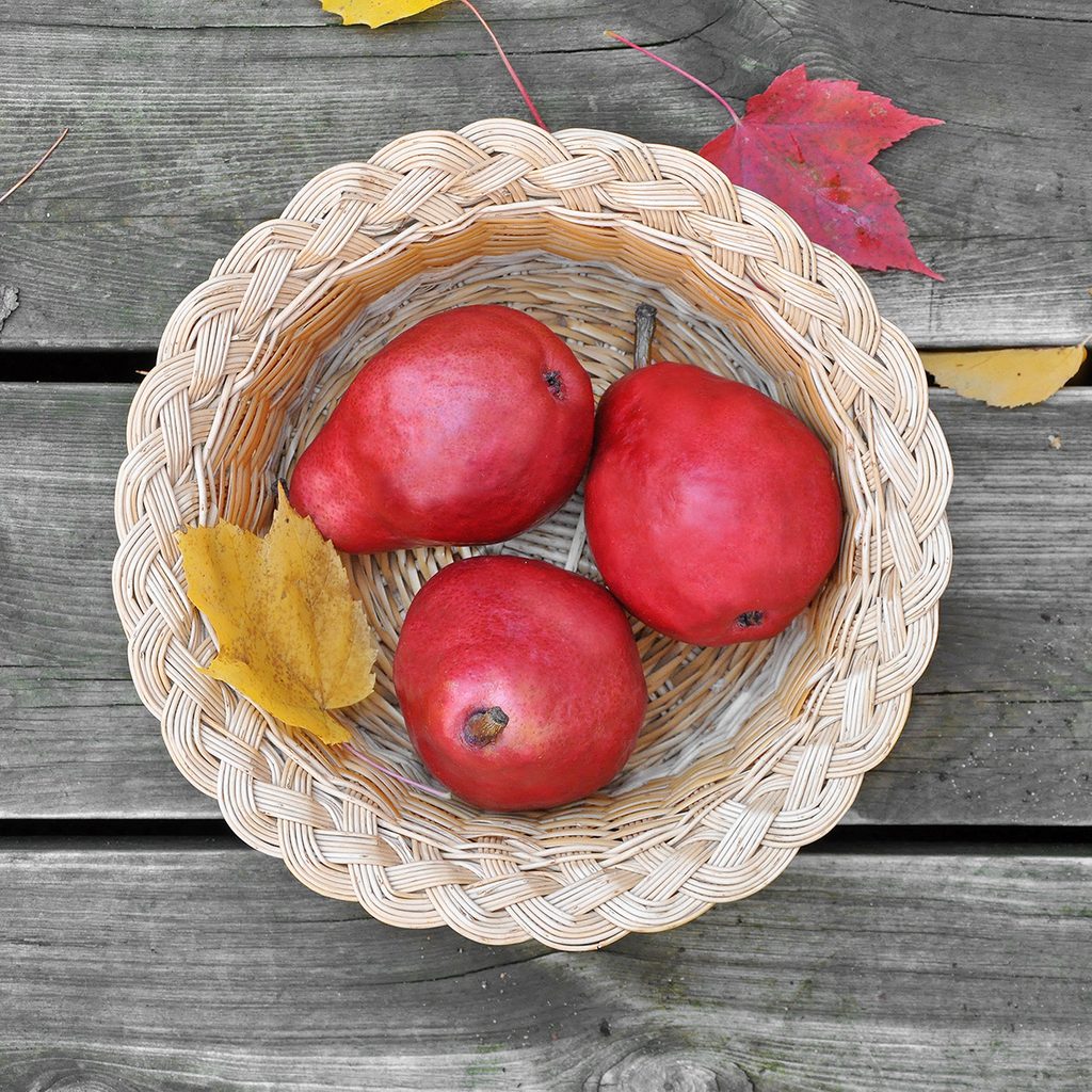 7 Types of Pears (and the Best Ways to Eat Them)