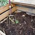 10 Tips for Composting Your Leaves This Fall