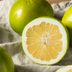 What is a Pomelo Fruit?