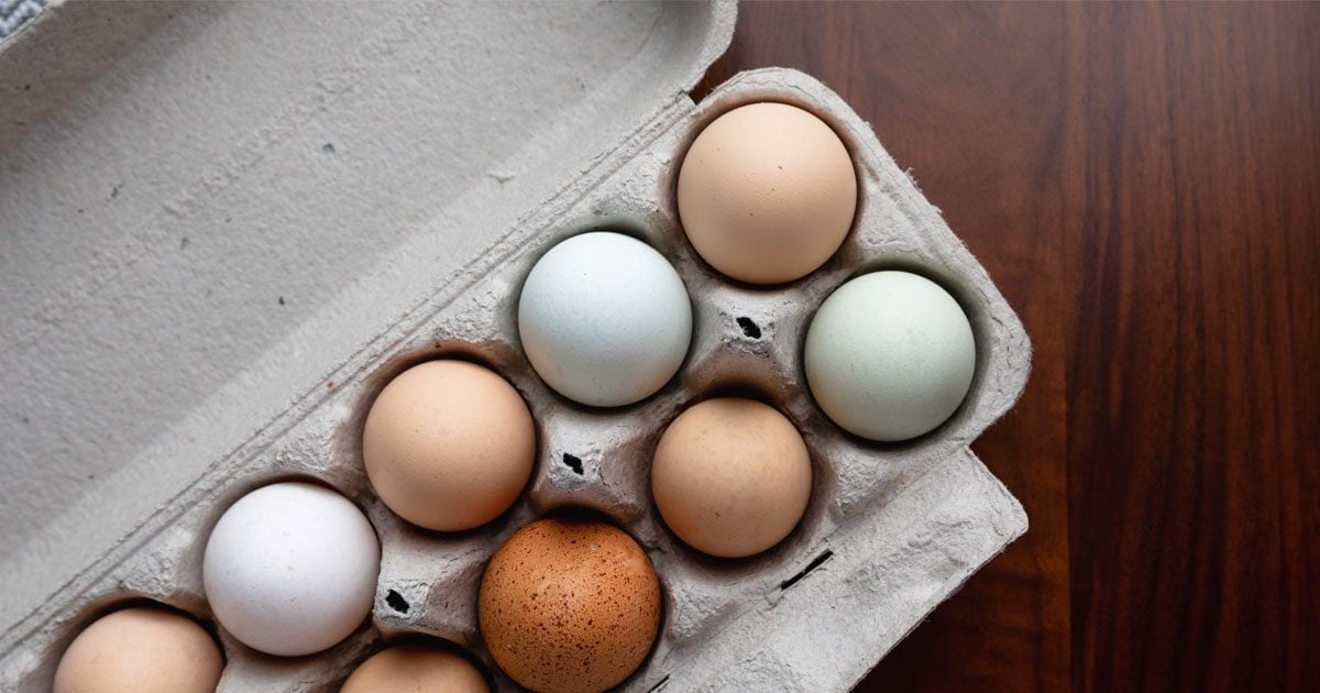 Here's the Proper Technique to Storing Eggs | Taste of Home