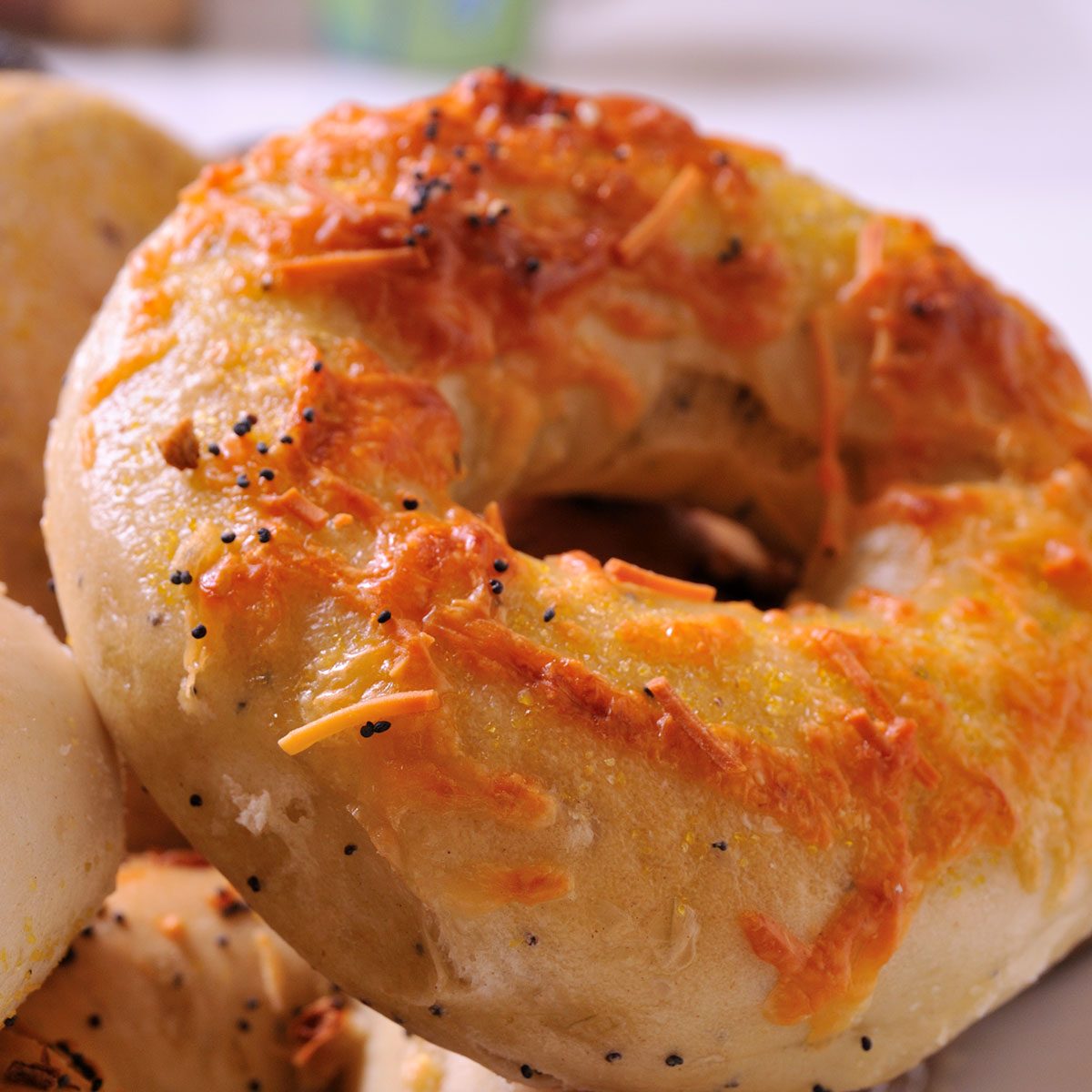 asiago Bagels