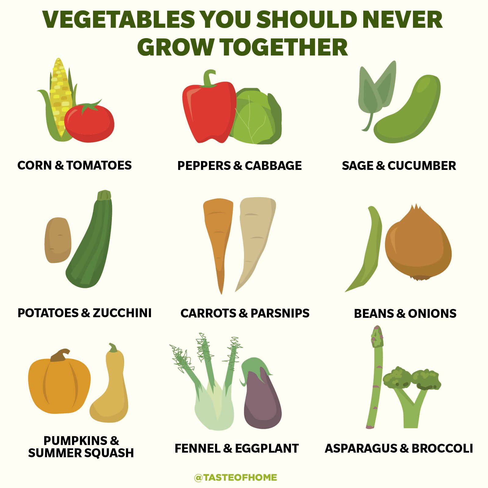 20-vegetables-to-never-grow-together-ideas-for-companion-vegetables