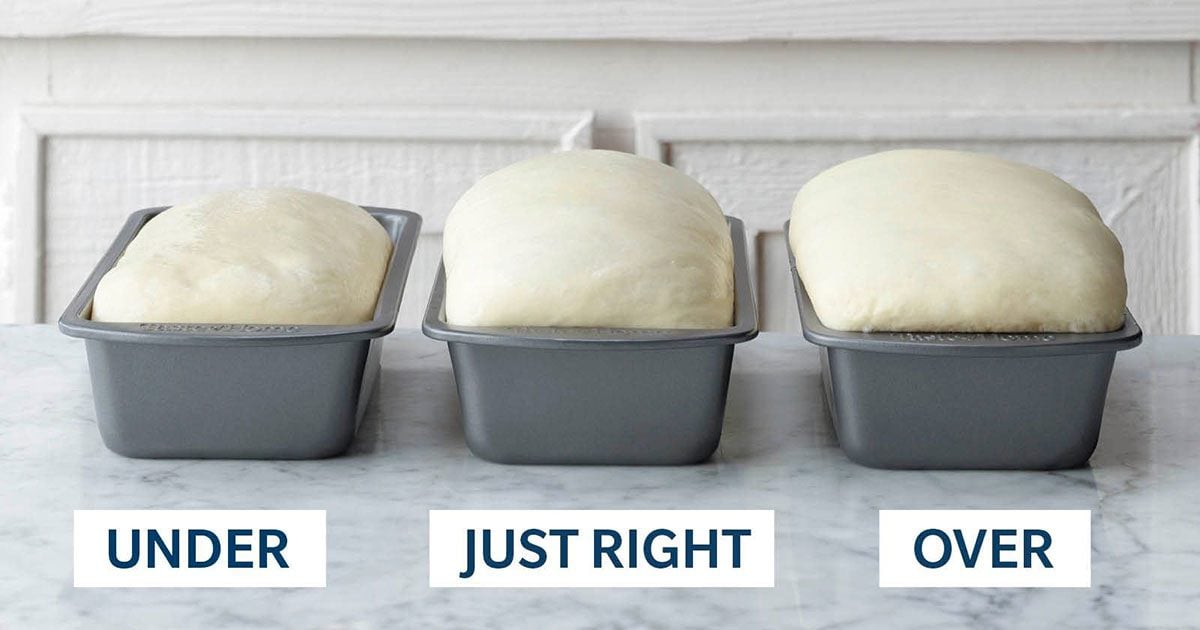 The Ultimate Guide To Proofing Bread Dough Taste Of Home