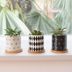 10 Pretty Planters That Make It Easy to Grow an Indoor Herb Garden