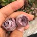 Pink Rose Succulents Are Perfect for Houseplant Fansâ€”Here's Where to Find Them