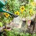 Can Epsom Salt Help Your Garden Grow?