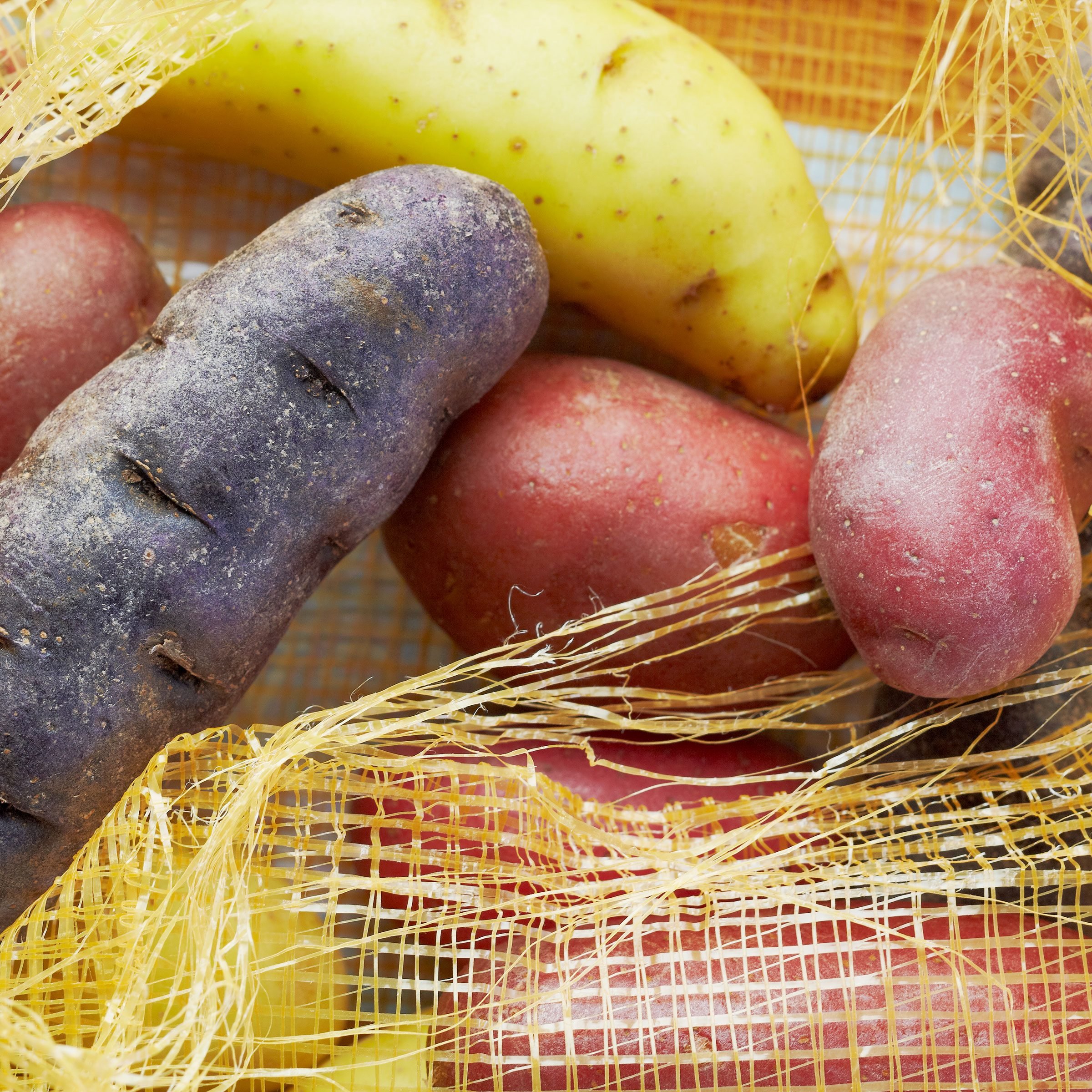  Ripe Potatoes 