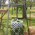 How to Make a DIY Laundry Basket Strawberry Planter for Summer