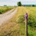 If You See a Painted Purple Fence, This Is What It Means