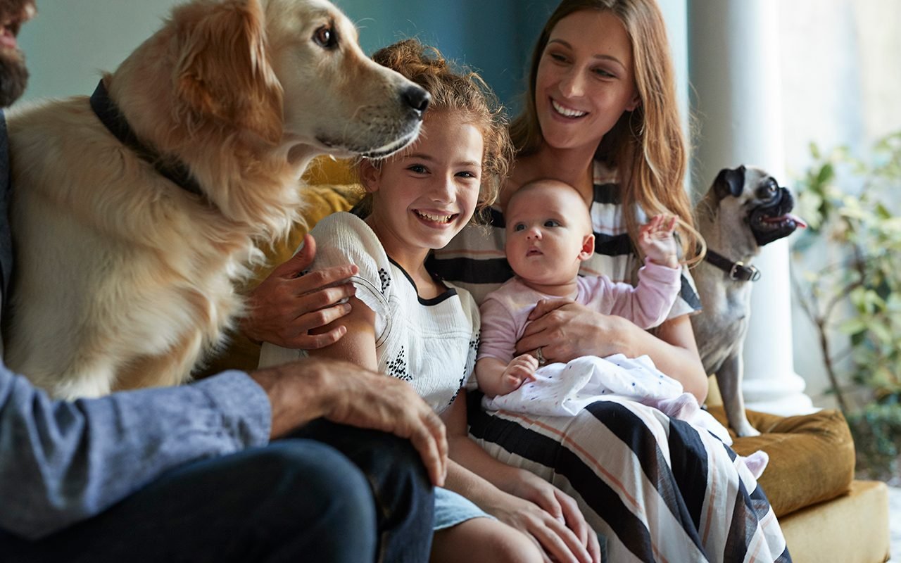 Family Sitting Together In Sofa With Their Dogs