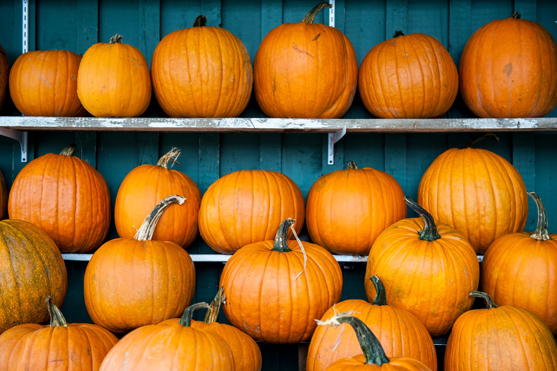 Pumpkins on shelves