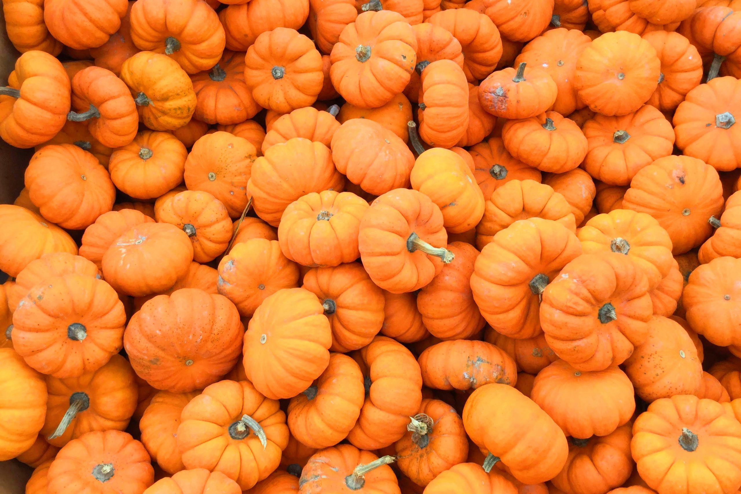 Full Frame Shot Of Pumpkins At Market